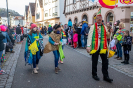 Faschingsumzug Rodalben - 16.02.2020