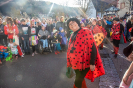Faschingsumzug Rodalben - 16.02.2020